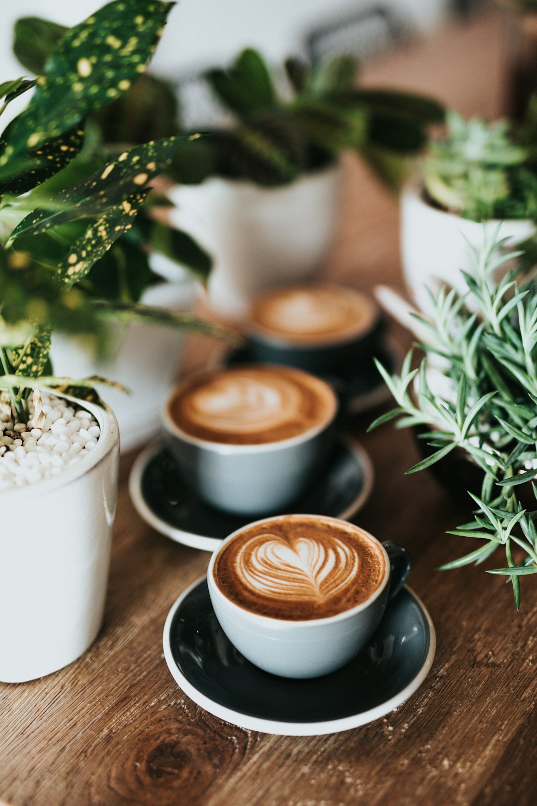 I had a friend define success for me recently saying, “Success is having deep and meaningful relationships.”  This photo represents community, friendship, and deep rooted relationships.  I love coffee, but coffee together is something entirely different.